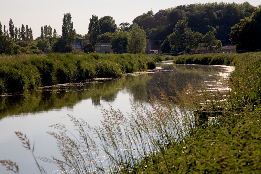 River Parrett